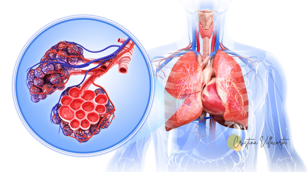 homeopathic remedies for pneumonia