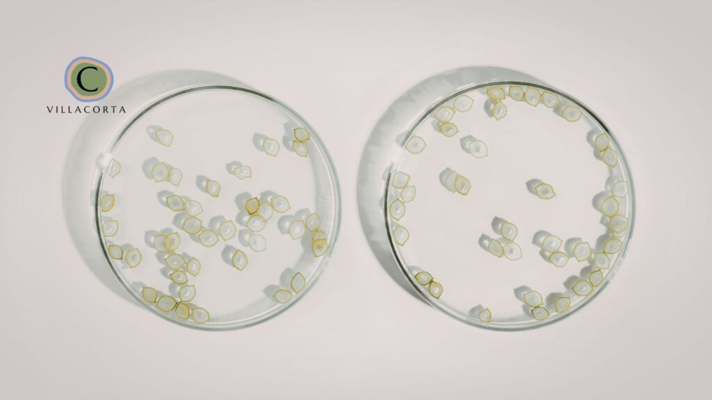 homeopathy for yeast infections and PMS